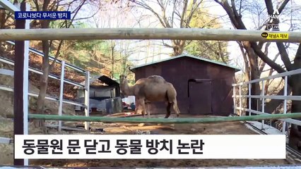 ‘고드름 울타리’ 속 덜덜…문닫은 동물원, 동물 방치 의혹