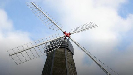 Almanlar uğur ve mutluluktan ne anlıyor?