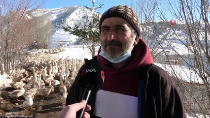 Şehir Hayatı Bunalttı, Huzuru Köyünde Buldu