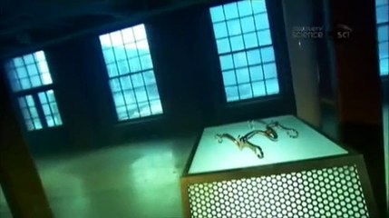 How Its Made - 964 Horse Bits