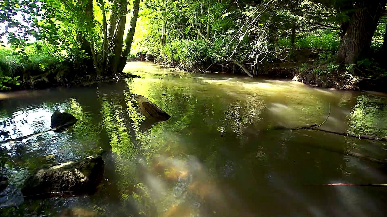 Les sites Ramsar en France