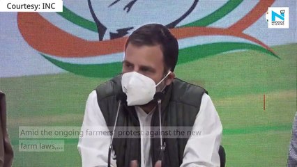 India’s reputation has taken massive hit: Rahul Gandhi on farmers’ protest