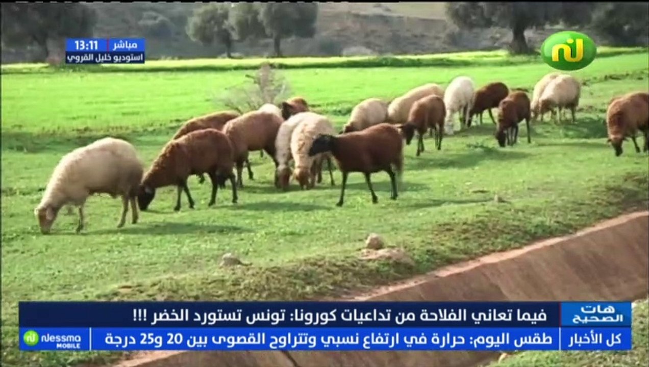 هات الصحيح ليوم الإربعاء 03 فيفري 2021 الجزء الثاني