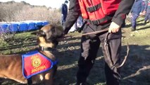 Kadavra köpekleri Çanakkale’de ilki başardı... Meracıoğlu’nun cesedini kadavra köpekleri Mavi ile Negro buldu