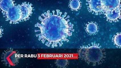 Data Covid-19 Kota Malang 3 Februari 2021