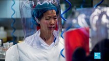 Coronavirus pandemic: WHO team visits Wuhan virus lab at center of speculation