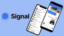 Signal Rolls Out New update; Adds Whatsapp-Like Features