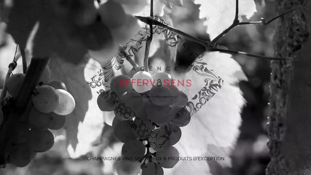 Agence Efferv&sens Ι Vins spiritueux & produits d'exception