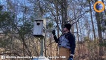 Il tapait sur une petite maison en bois et ne s'attendait pas à ce qui allait bondir