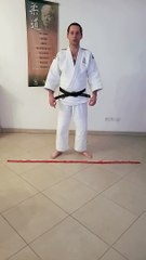 Vidéo C2 et Adultes - éducatif de-ashi-barai