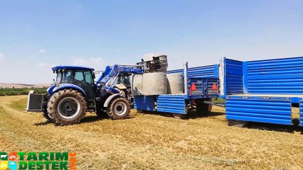 Rulo Yonca Balyası Çekimi