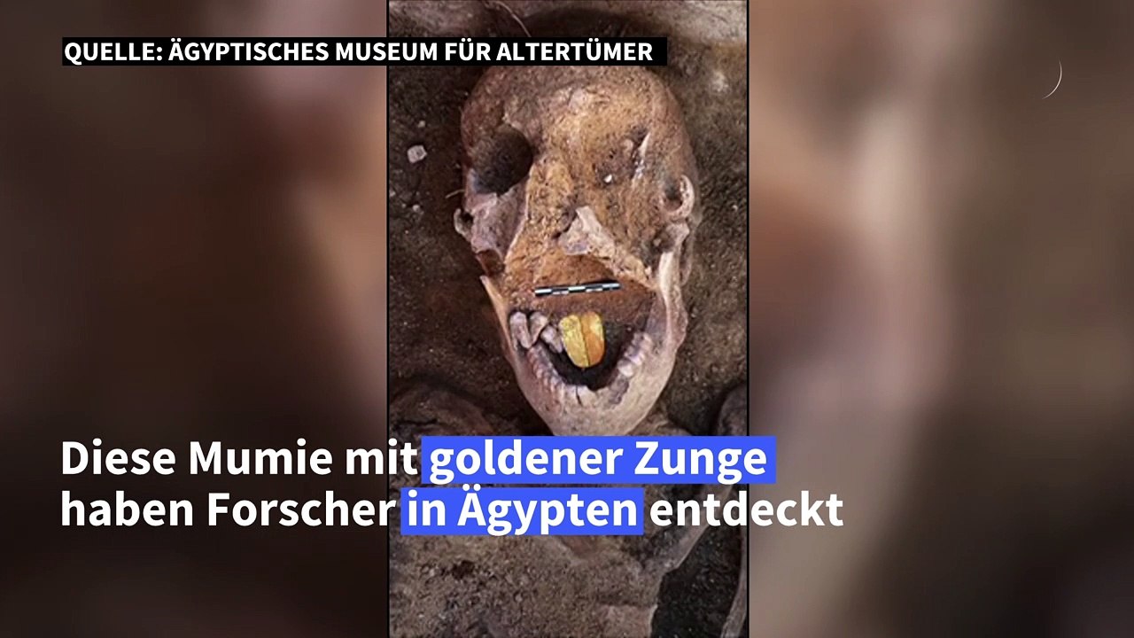 Mumien mit goldener Zunge in Ägypten entdeckt