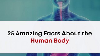 25 Amazing Facts About the Human Body | Human Body Unknown Knowledge Facts Video | Science Facts