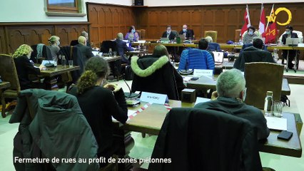 Sujet: fermeture de rue pour en faire des zones piétonnes?