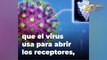 Coronavirus la OMS confirmó que Argentina recibirá 2.275.200 vacunas de AstraZeneca y Oxford