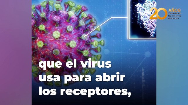 Coronavirus la OMS confirmó que Argentina recibirá 2.275.200 vacunas de AstraZeneca y Oxford