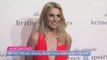Britney Spears' Social Media Manager Addresses 'Inaccurate' Conspiracy Theories and 'Nasty Comments'
