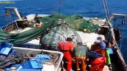 Big Catch in The Sea..You Won_t Believe That How Many Fish_ Awesome Fish Processing Machine.