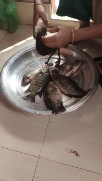TILAPIA FISH COOKING IIতেলাপিয়া মাছ রান্না II VILLAGE FOOD II TAST FOOD.