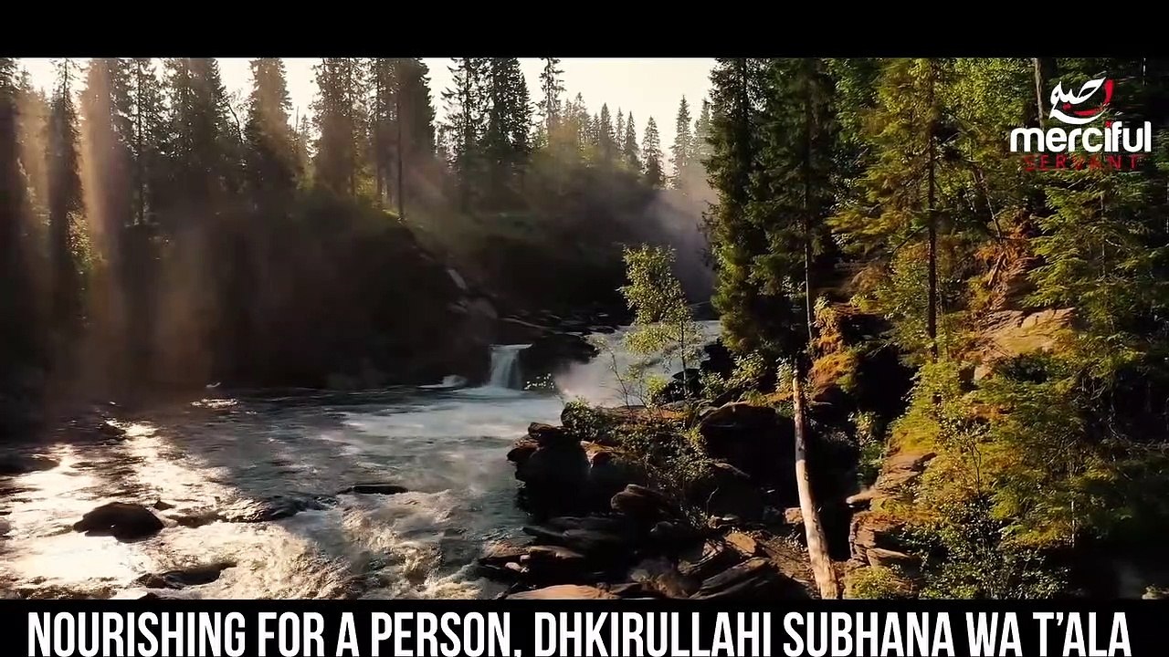 Where Is The Paradise Of Earth - Islami Lecture