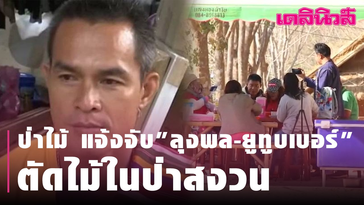 ป่าไม้ แจ้งจับ "ลุงพล-ยูทูบเบอร์" ตัดไม้ในป่าสงวน | Dailynews