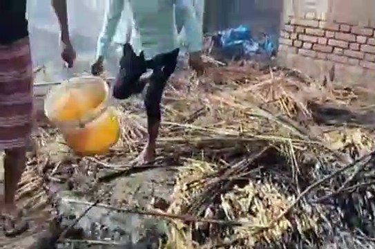 बिजली के शॉर्ट सर्किट से छप्पर के मकान में लगी आग