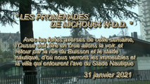 LES PROMENADES DE MICHOU64 W-D.D. - 31 JANVIER 2021 - PAU - BIZANOS - PROMENADE DOMINICALE POUR REGARDER L'OUSSE EN CRUE
