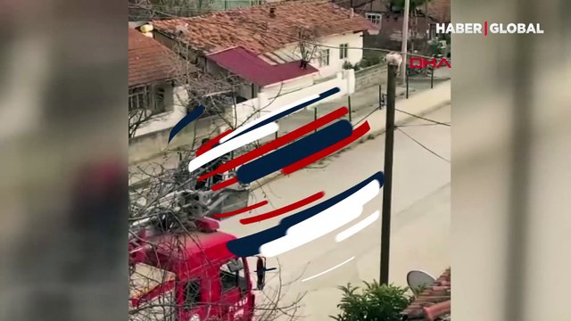 Telefon direğinde kedi operasyonu