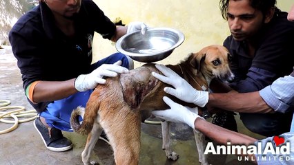 Acid attack victim s awe-inspiring recovery; Honey s story.