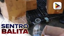 Higit P904-M halaga ng kemikal at lab equipment sa paggaawa ng iligal na droga, sinira ng PDEA
