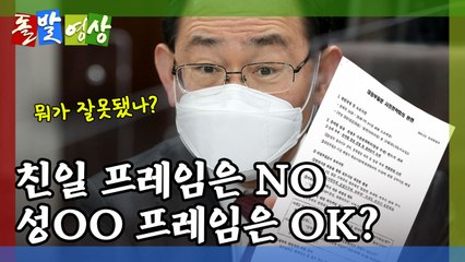 [돌발영상] 장군 멍군 / YTN