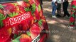 Mapro Garden, Maharashtra _ Strawberry garden in India _ Virtual tour of strawberry fest venue