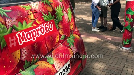 Mapro Garden, Maharashtra _ Strawberry garden in India _ Virtual tour of strawberry fest venue