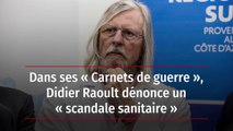 Dans ses « Carnets de guerre », Didier Raoult dénonce un « scandale sanitaire »