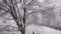Weather Update: Uttarkhand receives fresh snowfall