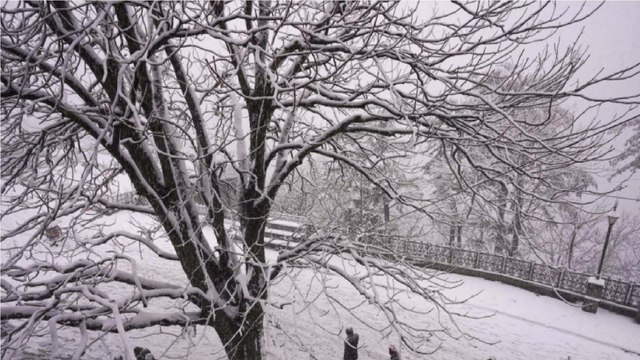 Weather Update: Uttarkhand receives fresh snowfall