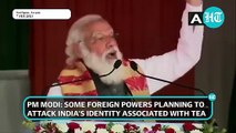 ‘Foreign powers planning to attack India's identity associated with tea’ - PM Modi