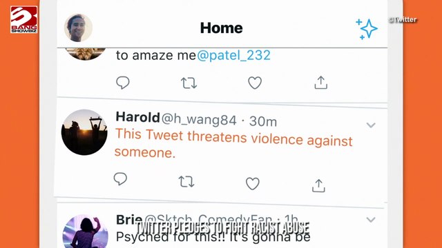 Twitter pledges to fight racist abuse