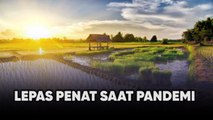 Jalan-Jalan Melepas Penat saat Pandemi, Ini Tipsnya!