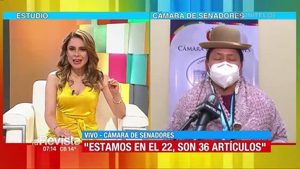 Senado debate el tratamiento de Ley de Emergencia Sanitaria