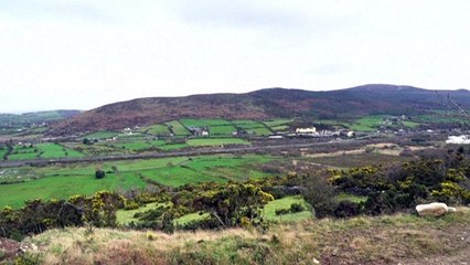L'Irlande du Nord au cœur des tensions post-Brexit