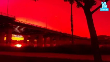 [Türkçe Altyazılı] Red Velvet 1. VLive Canlı Yayını