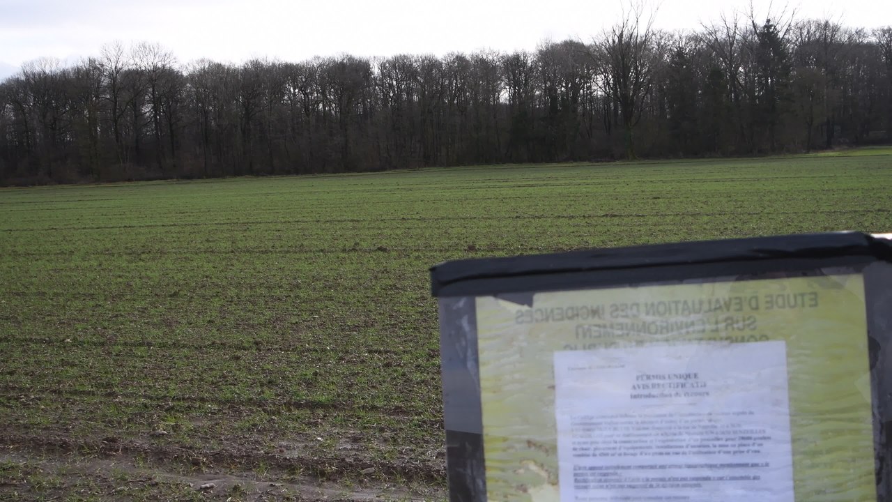 Cerfontaine: futur terrain devant accueillir un poulailler à Senzeilles (2021)