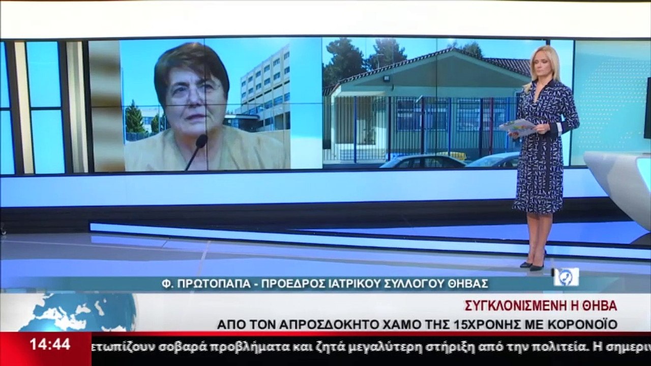 Η πρ. του Ιατρικού Συλλόγου Θήβας, Φ. Πρωτόπαπα...
