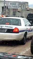 Pig Escapes From Trailer in Traffic