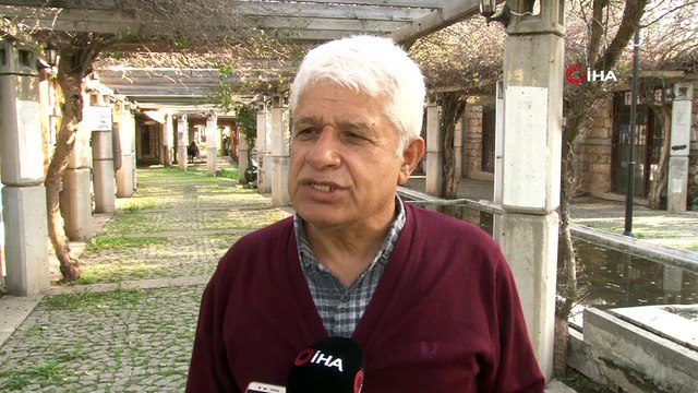 Balıkçıların ağına kırmızı listede yer alan 6 metrelik sapan köpek balığı takıldı