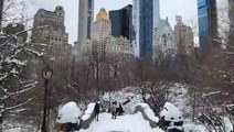 Take a stroll through snow-covered Central Park