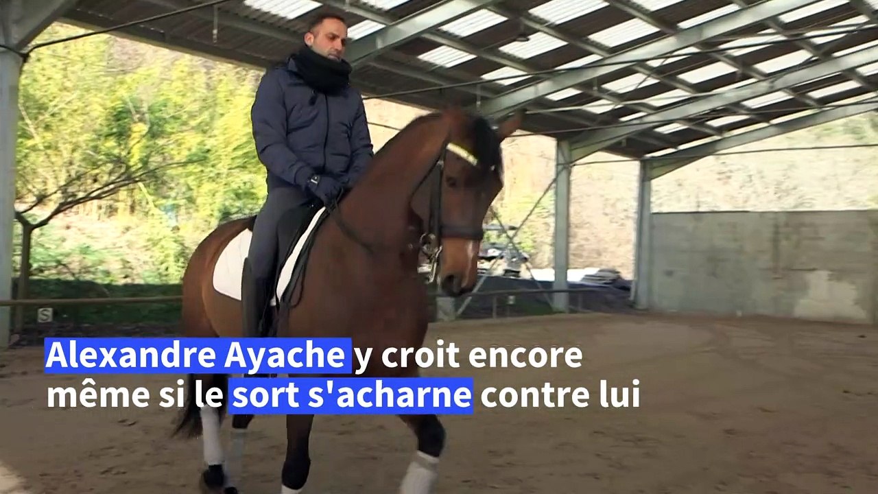 Qualifié pour les JO de Tokyo mais sinistré de la tempête Alex, le combat d'un champion de dressage