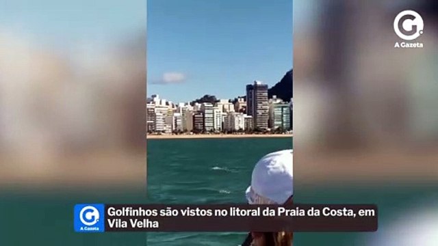 Golfinhos são vistos no litoral da Praia da Costa, em Vila Velha