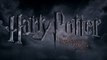 HARRY POTTER ET LES RELIQUES DE LA MORT -  2e partie (2011) Bande Annonce VF - HD